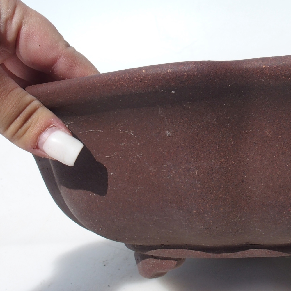 Bonsai tál 28 x 28 x 9,5 cm nyírfa barna