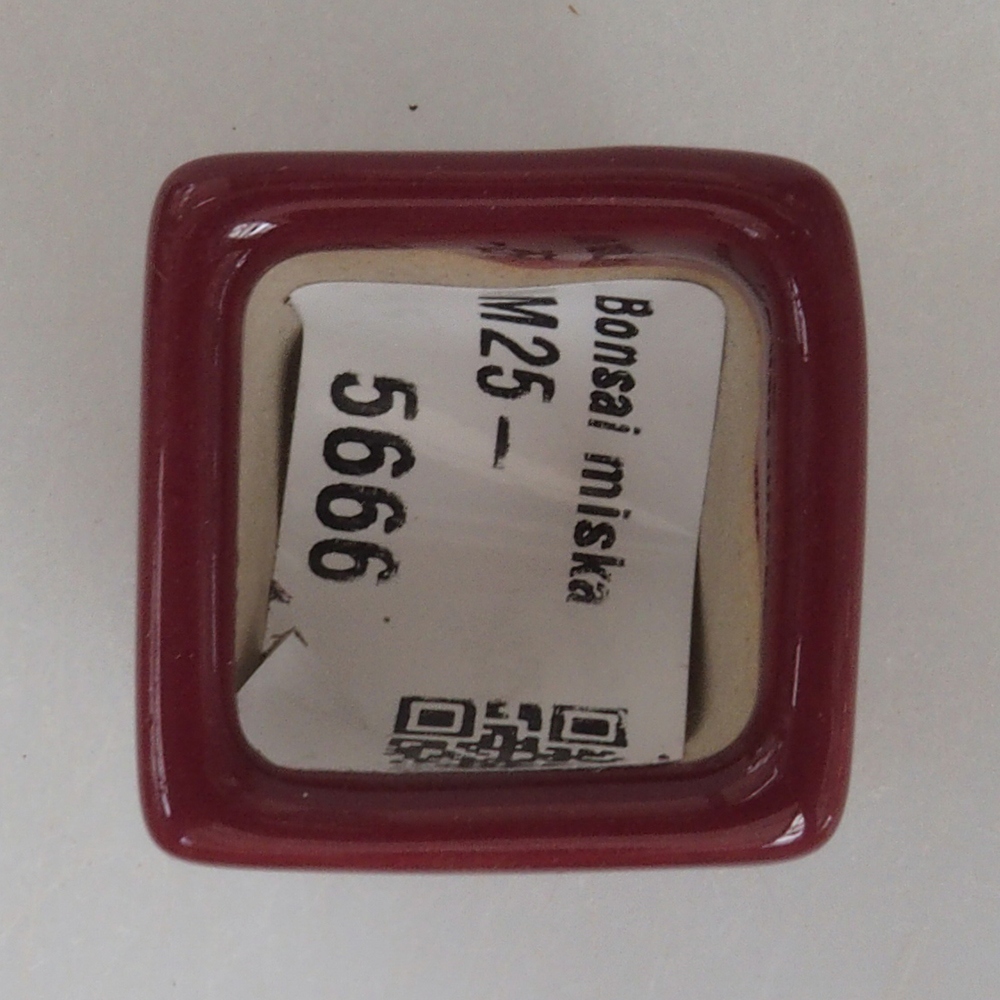 Mini bonsai tál 3 x 3 x 3,5 cm, bordó színű