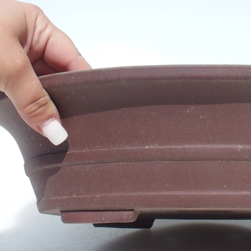 Bonsai tál 33 x 27 x 8,5 cm nyírfa barna