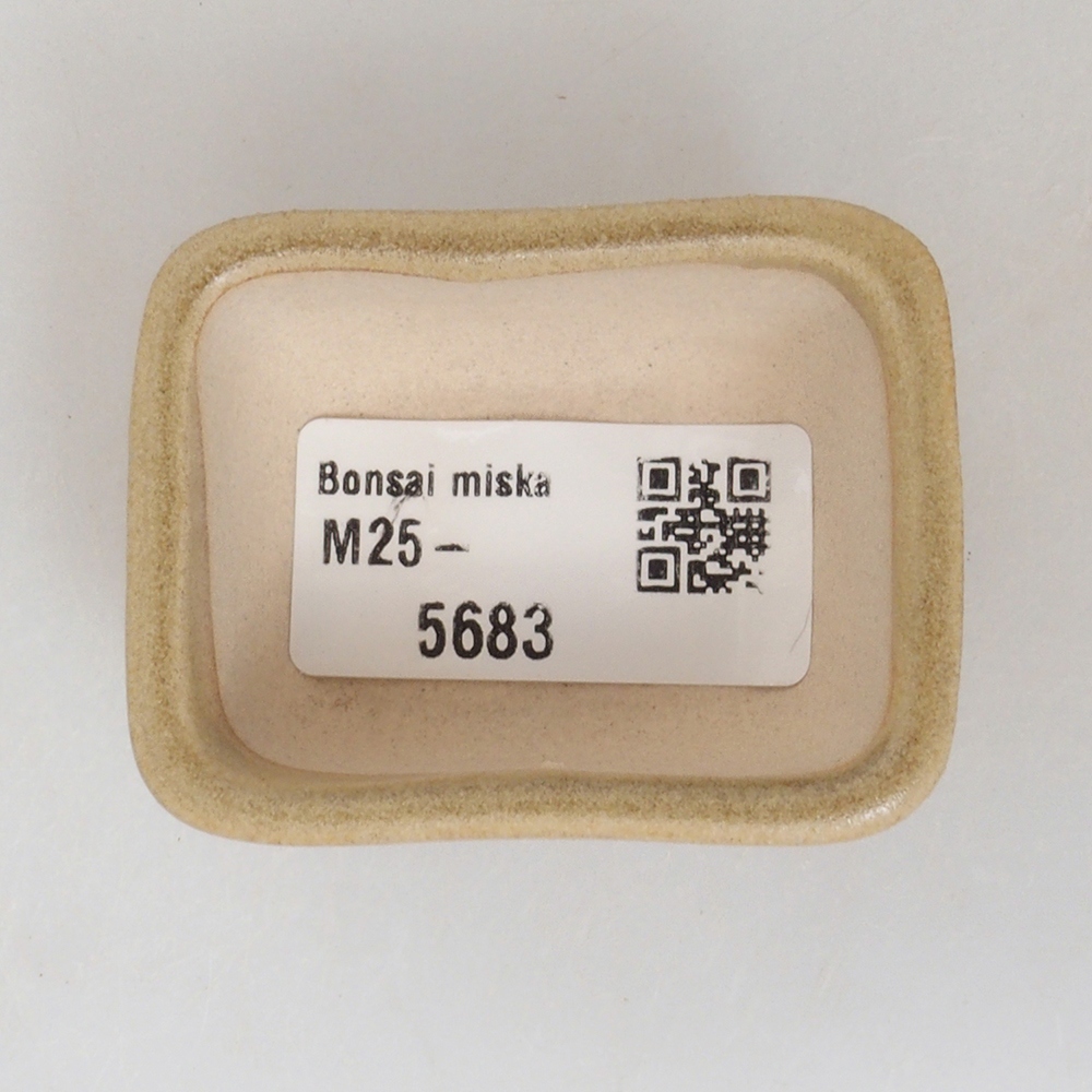 Mini bonsai tál 5,5 x 4,5 x 2,5 cm, barna