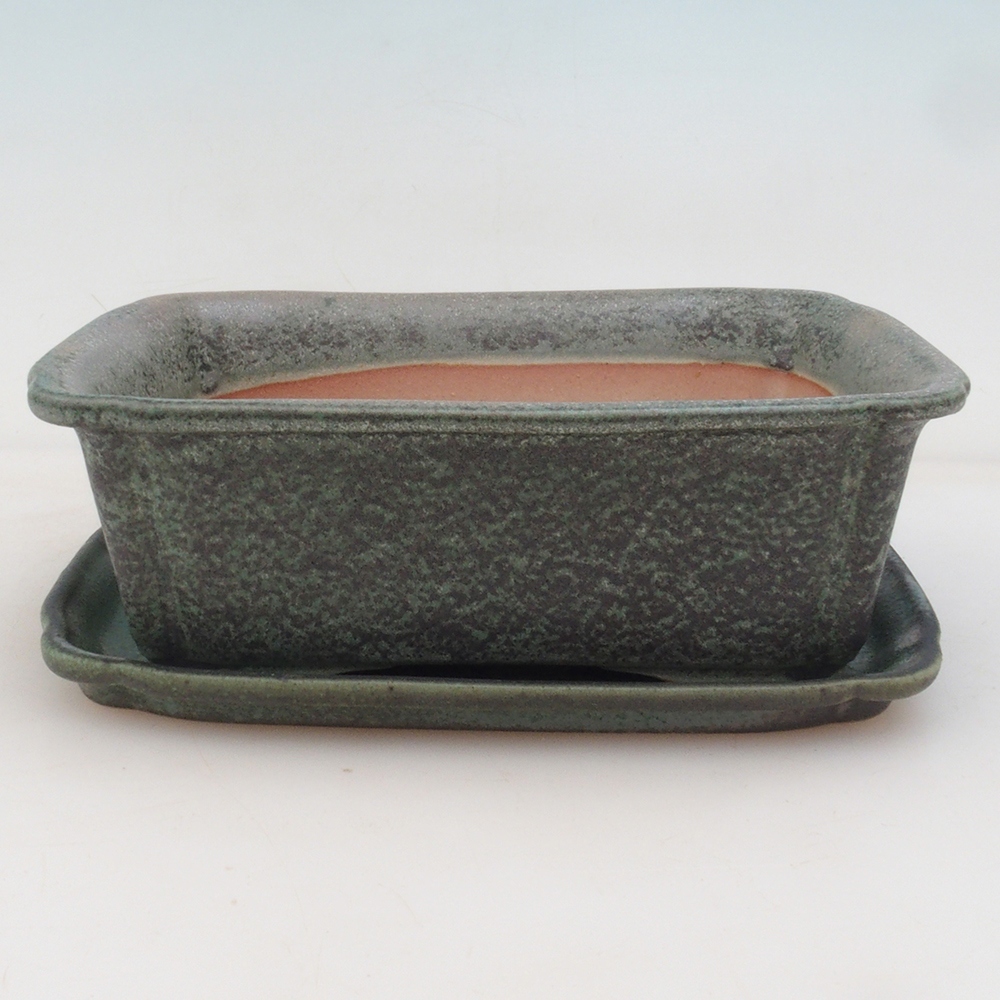 Bonsai tál + csészealj H50 - zöld