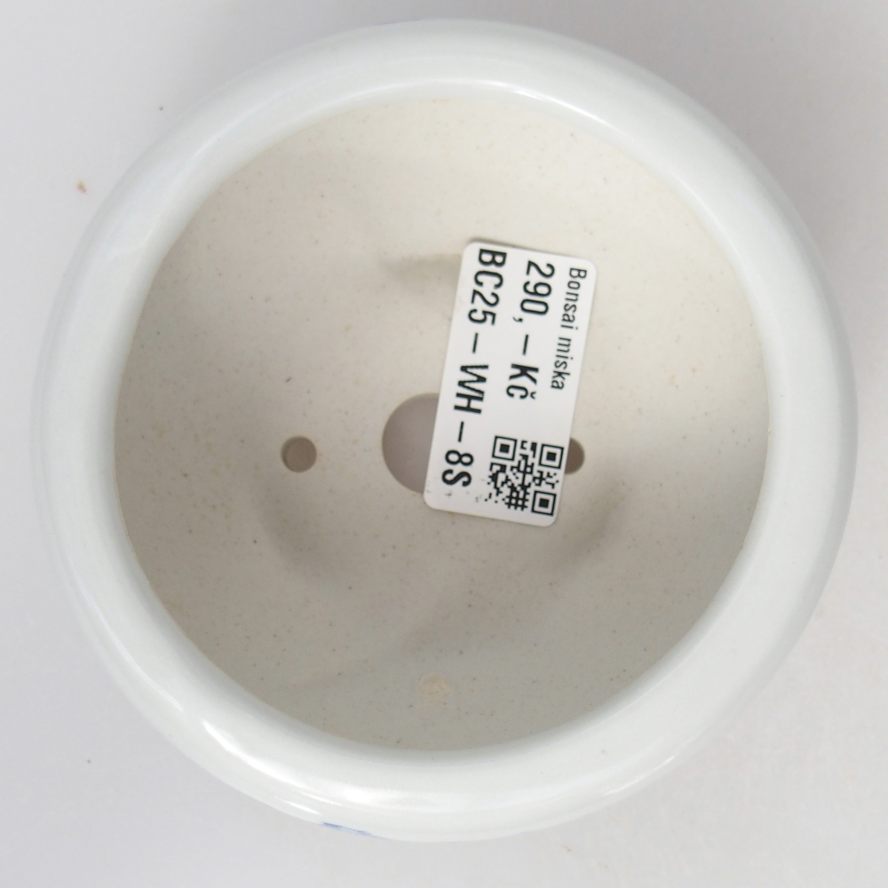 kerámia bonsai tál 10 x 10 x 5 cm, fehér színben