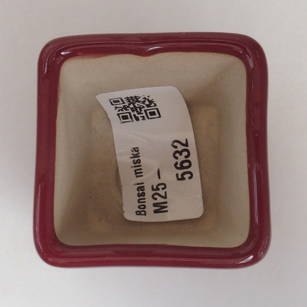 Mini bonsai tál 4,5 x 4,5 x 4,5 cm, bordó színben