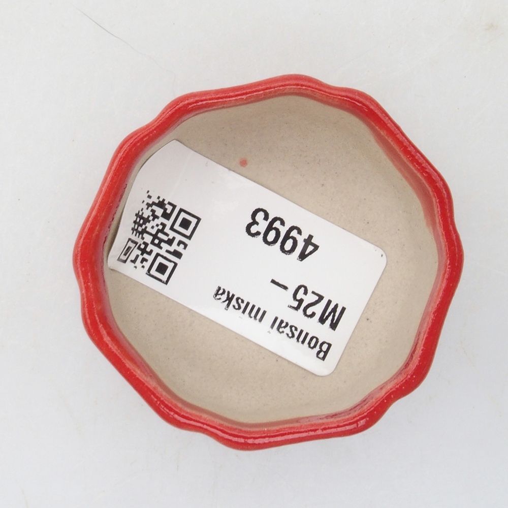 Mini bonsai tál 4,5 x 4,5 x 2 cm, piros színben