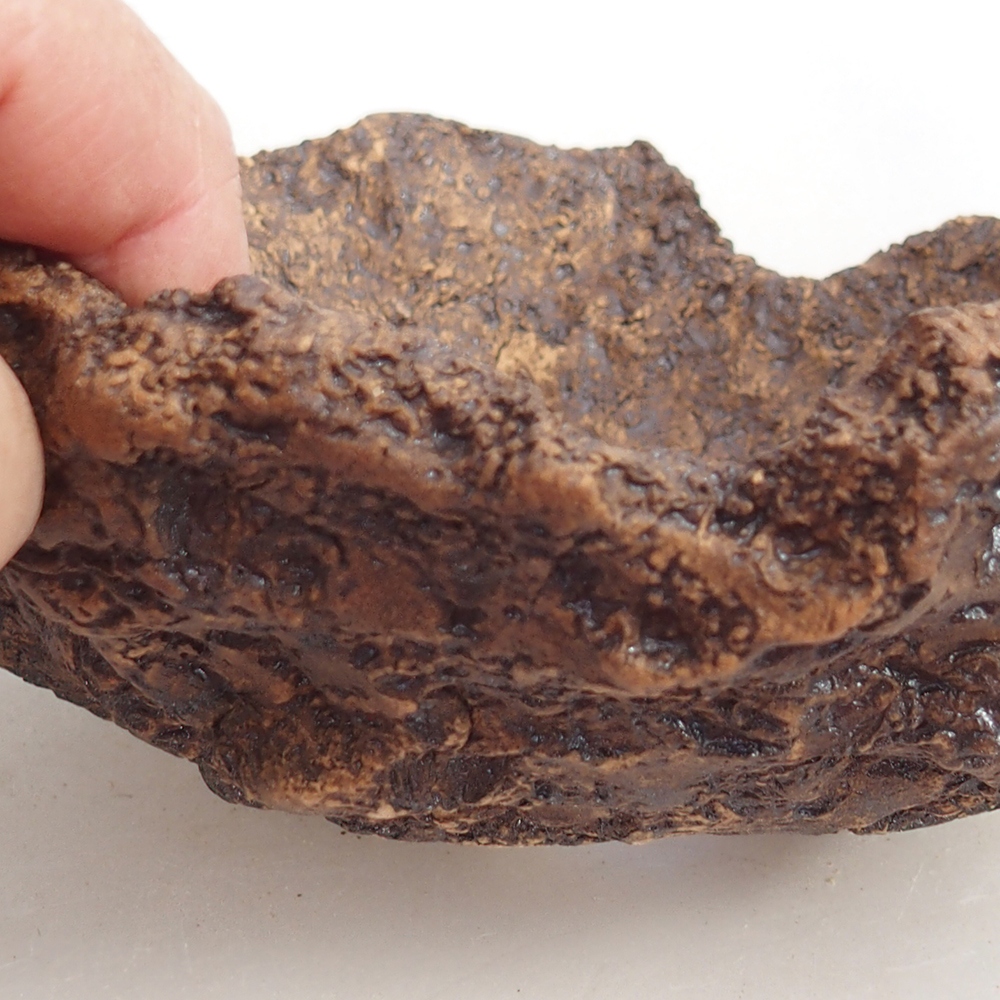 Kerámia kagyló 19 x 15 x 14 cm , barna színű