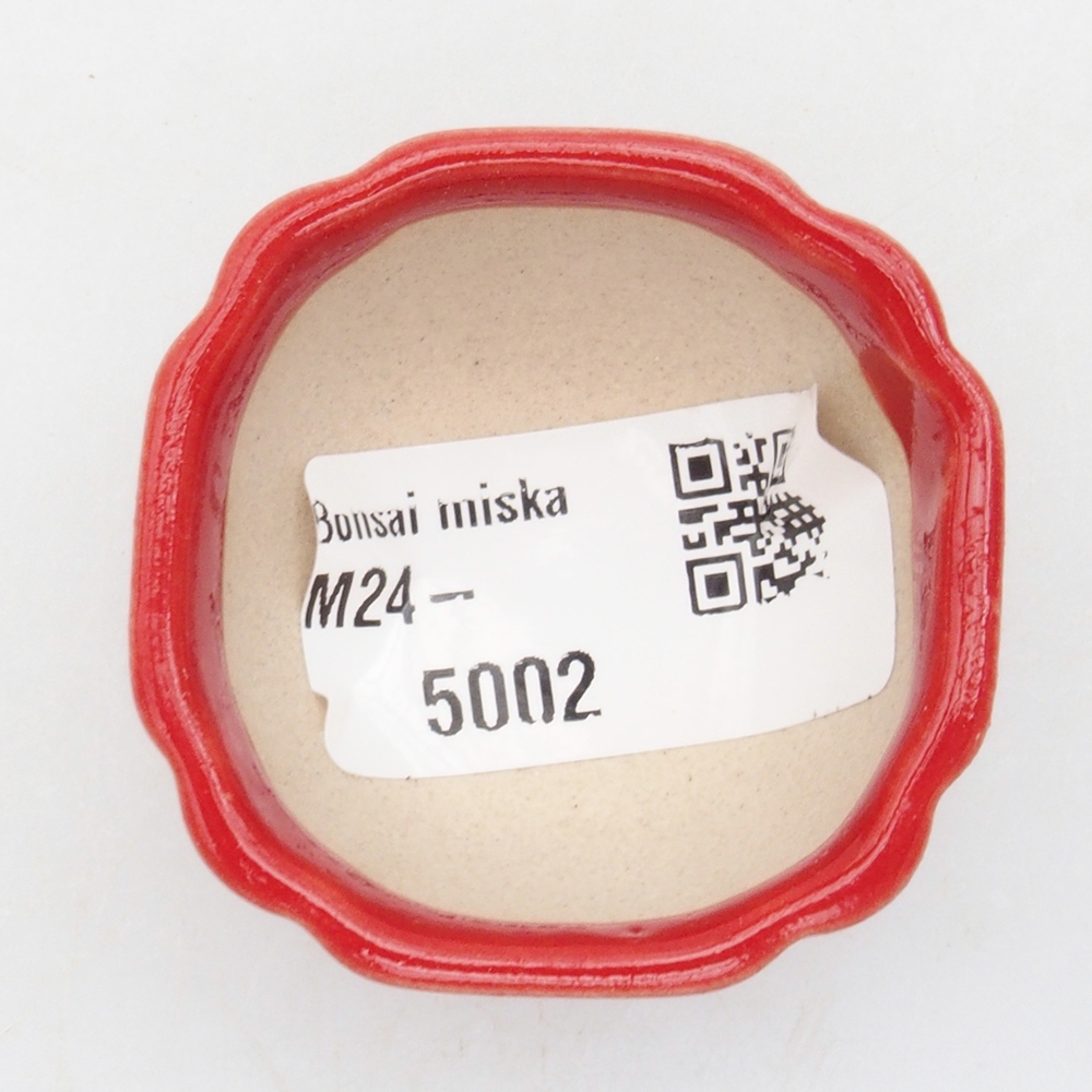 Mini bonsai tál 4 x 4 x 2,5 cm, piros színben