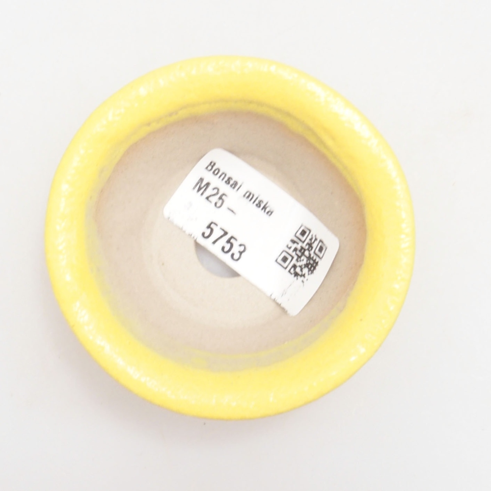 kerámia bonsai tál 7 x 7 x 2,5 cm, sárga