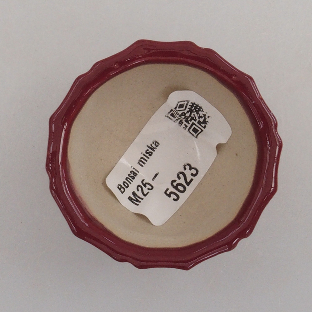 Mini bonsai tál 5 x 5 x 3 cm, bordó színű