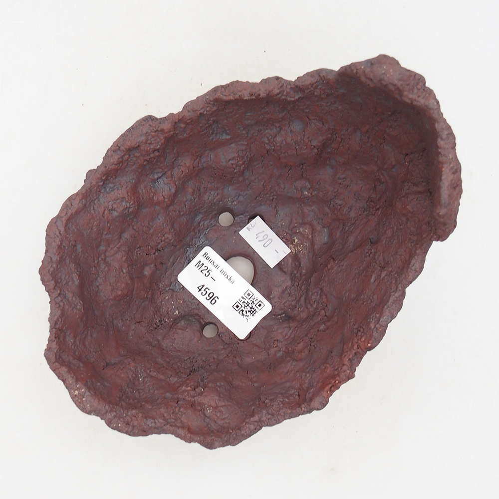 Kerámia kagyló 14 x 12,5 x 12 cm , barna színű