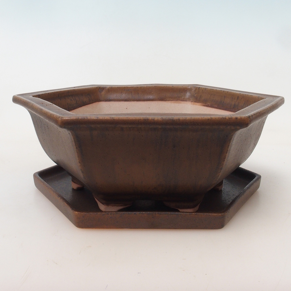 Bonsai tál + csészealj H53 - 19 x 21,5 x 7 cm - barna