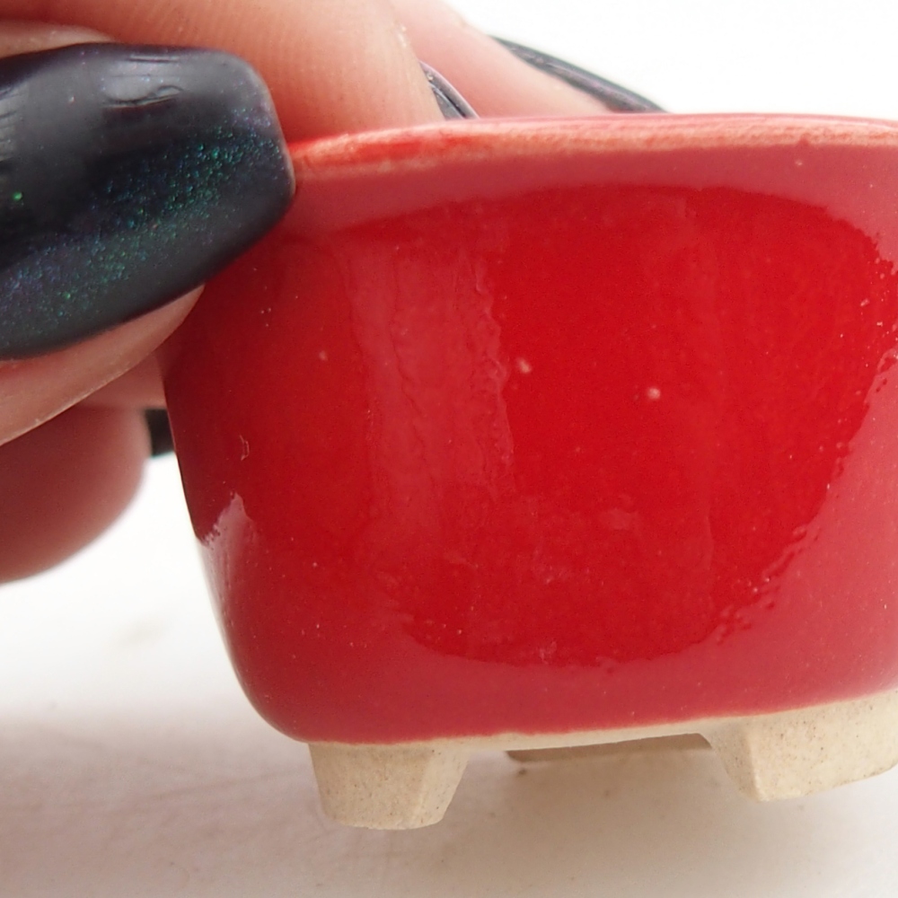 Mini bonsai tál 4 x 4 x 2,5 cm, piros színben