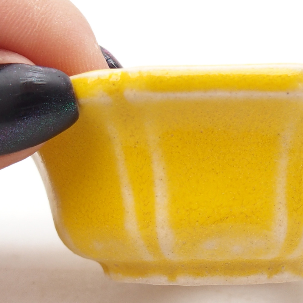 Mini bonsai tál 6 x 6 x 2,5 cm, sárga