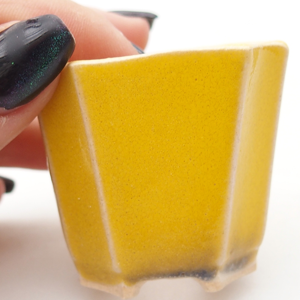 Mini bonsai tál 4,5 x 4,5 x 4 cm, sárga