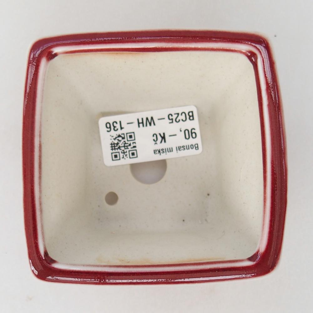 Mini bonsai tál 8,5 x 8,5 x 6 cm, piros színben