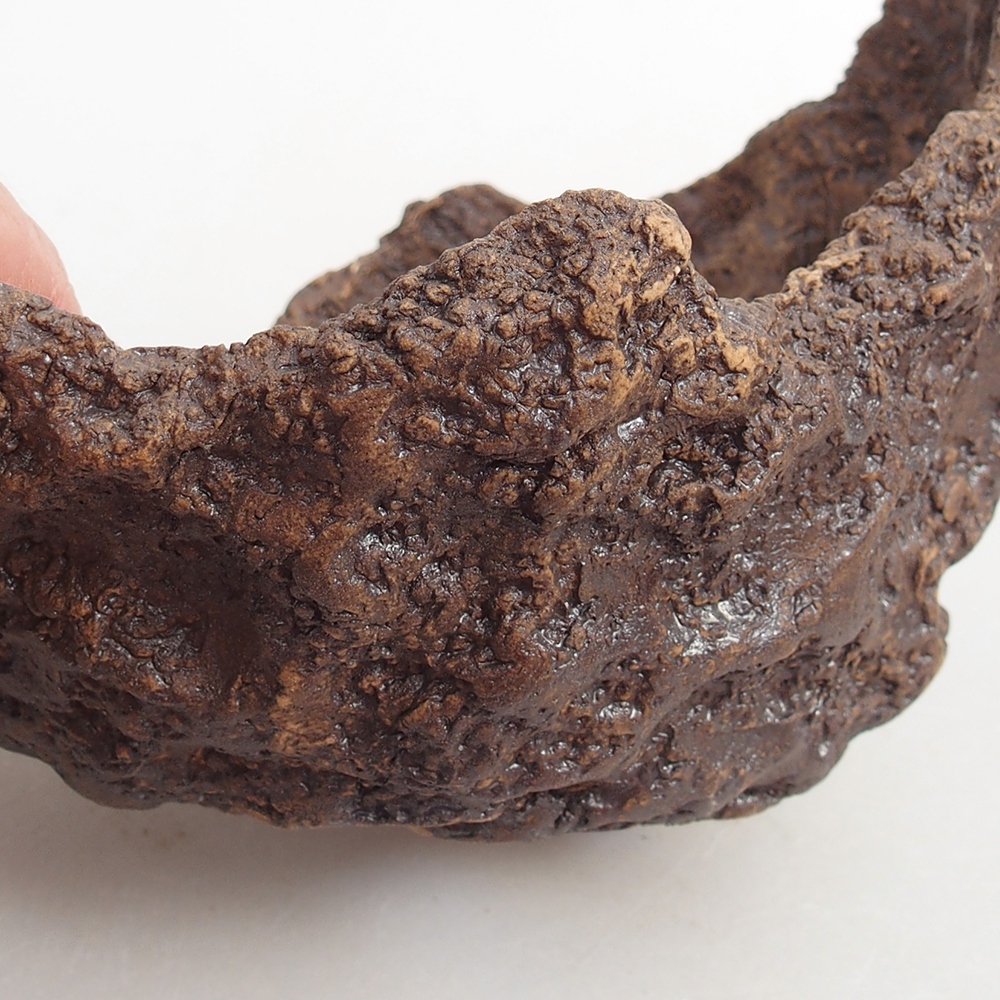 Kerámia kagyló 13 x 11 x 11 cm , színe barna