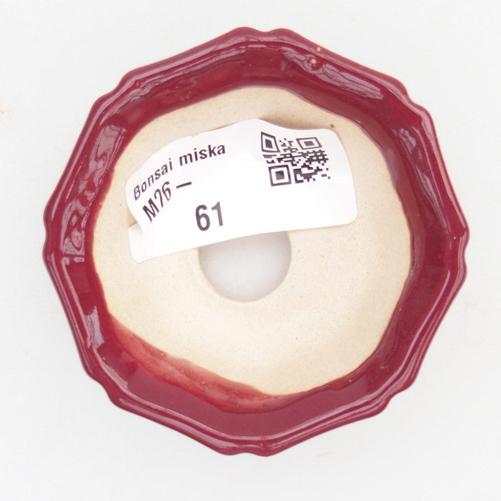 Mini bonsai tál 6 x 6 x 2,5 cm, bordó színű