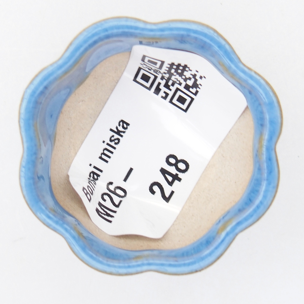 Mini bonsai tál 4 x 4 x 2 cm, kék