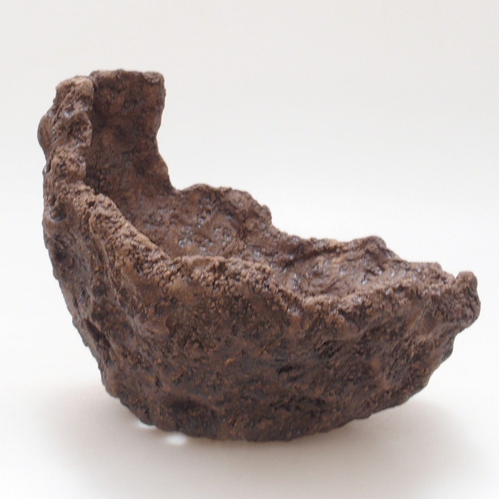 Kerámia kagyló 13 x 11 x 12 cm , színe barna