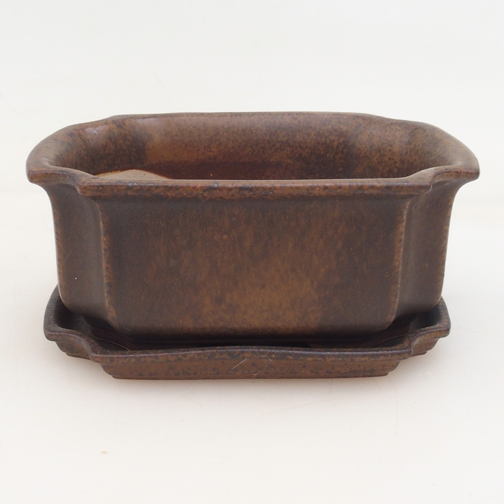 Bonsai tál + csészealj H01 - 12x9x5 cm