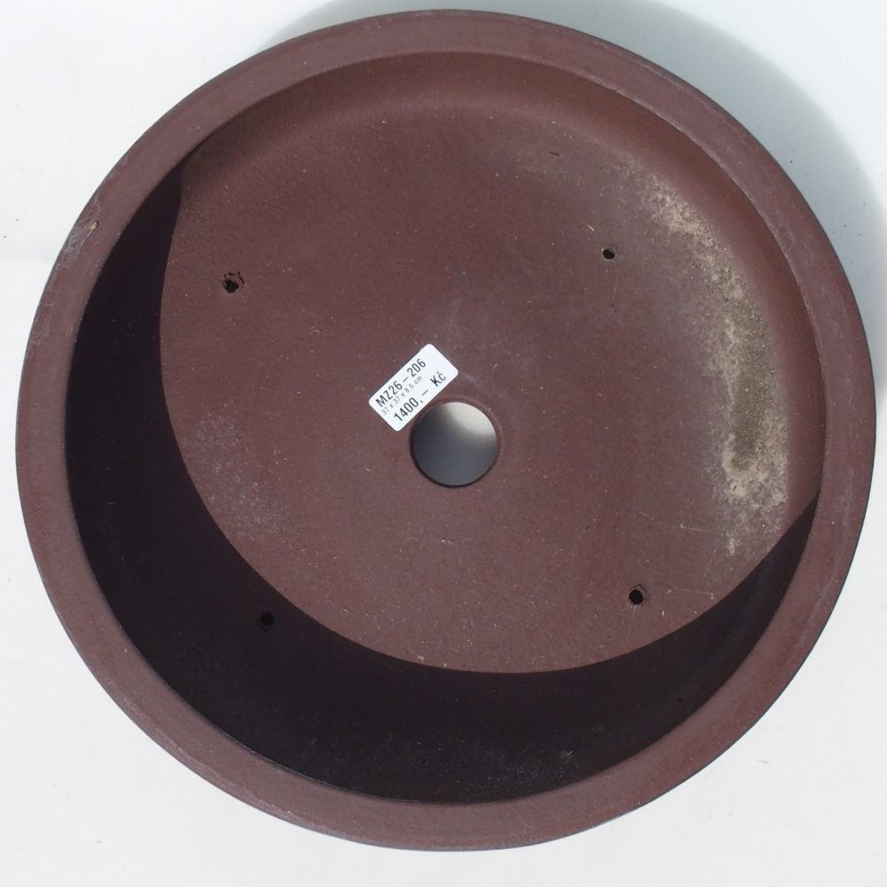 Bonsai tál 37 x 37 x 8,5 cm nyírfa barna