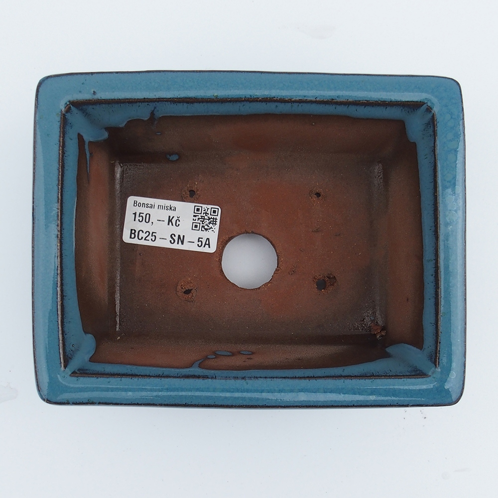 Tál 16 x 12,5 x 6,5 cm kék