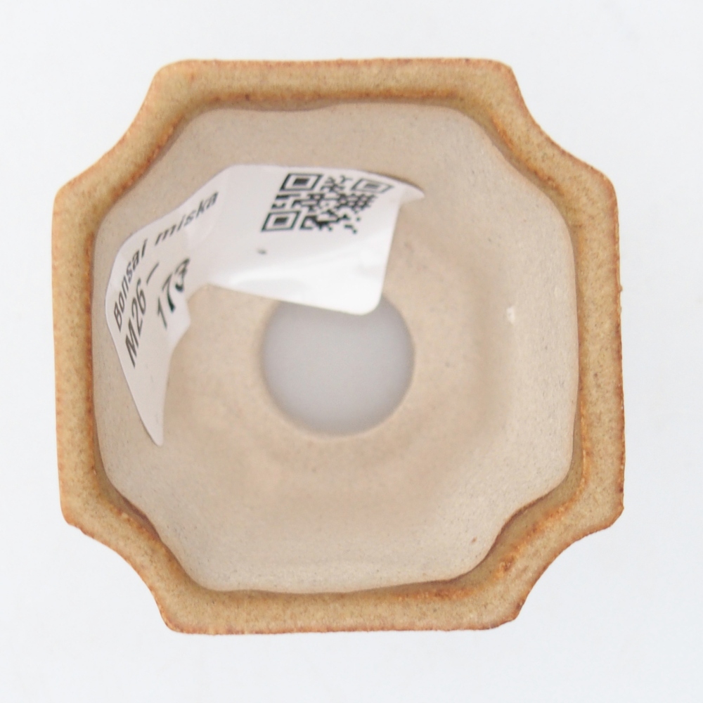 Mini bonsai tál 4,5 x 4,5 x 4 cm, barna