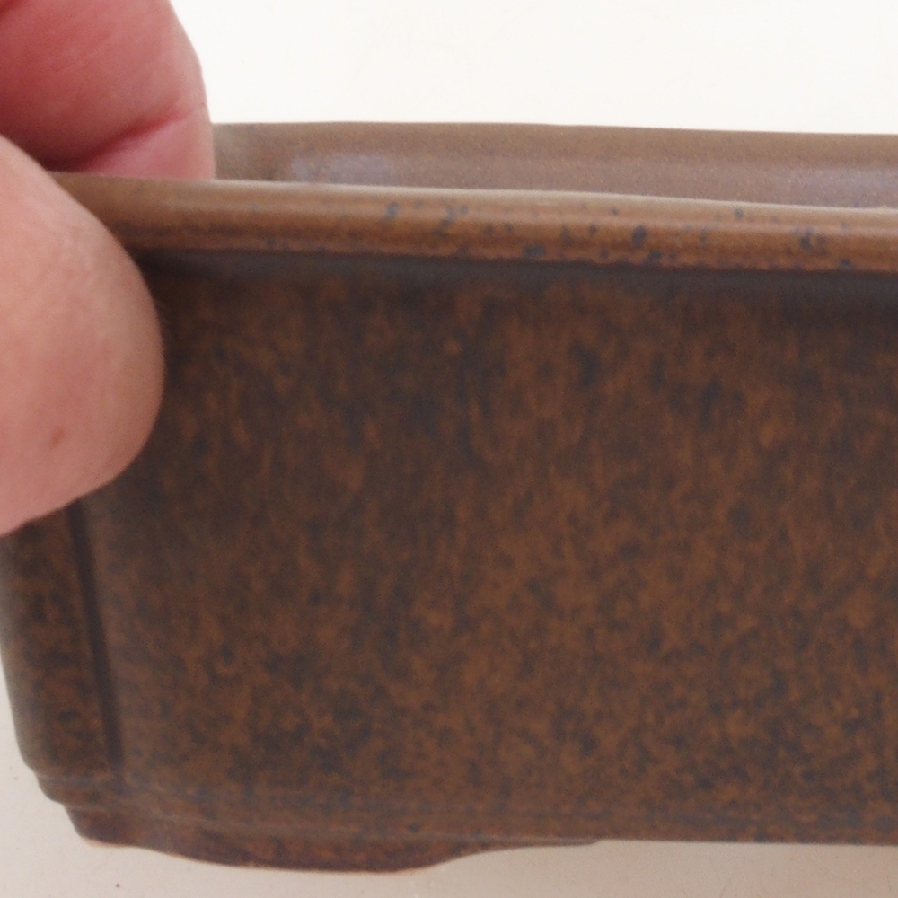 Bonsai tál H50 - 17 x 12,5 x 5,5 cm. - barna