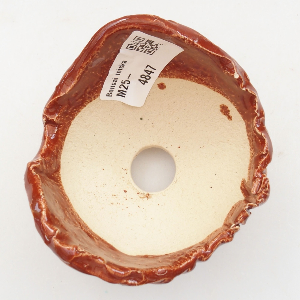 Kerámia kagyló 7,5 x 7,5 x 6 cm , barna színű