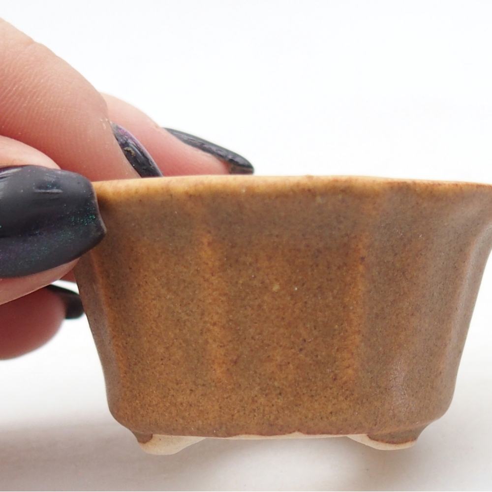 Mini bonsai tál 5,5 x 5,5 x 3 cm, barna