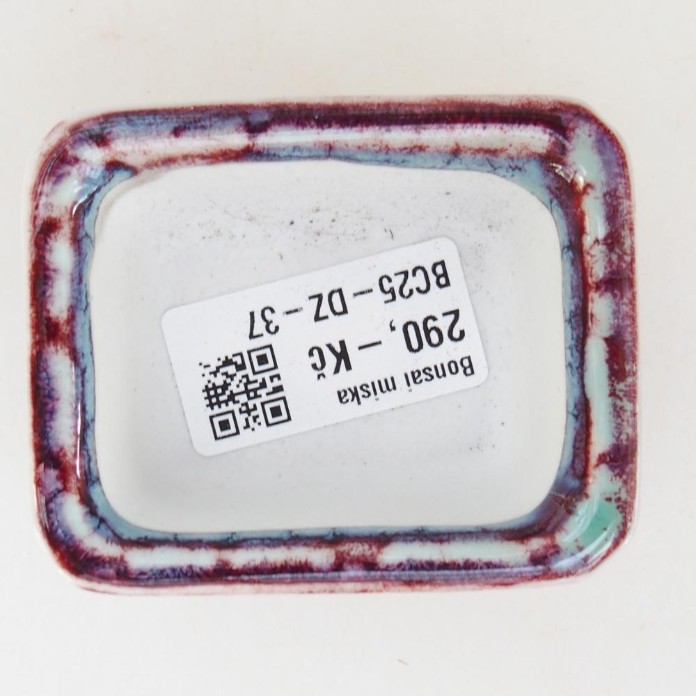 Mini bonsai tál 7 x 5,5 x 3 cm, bordó színű