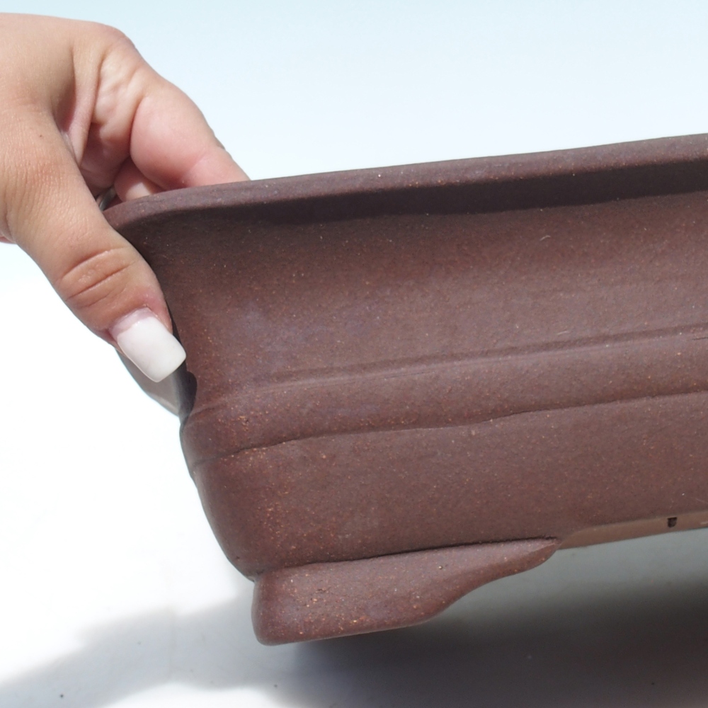 Bonsai tál 39 x 32 x 10,5 cm nyírfa barna