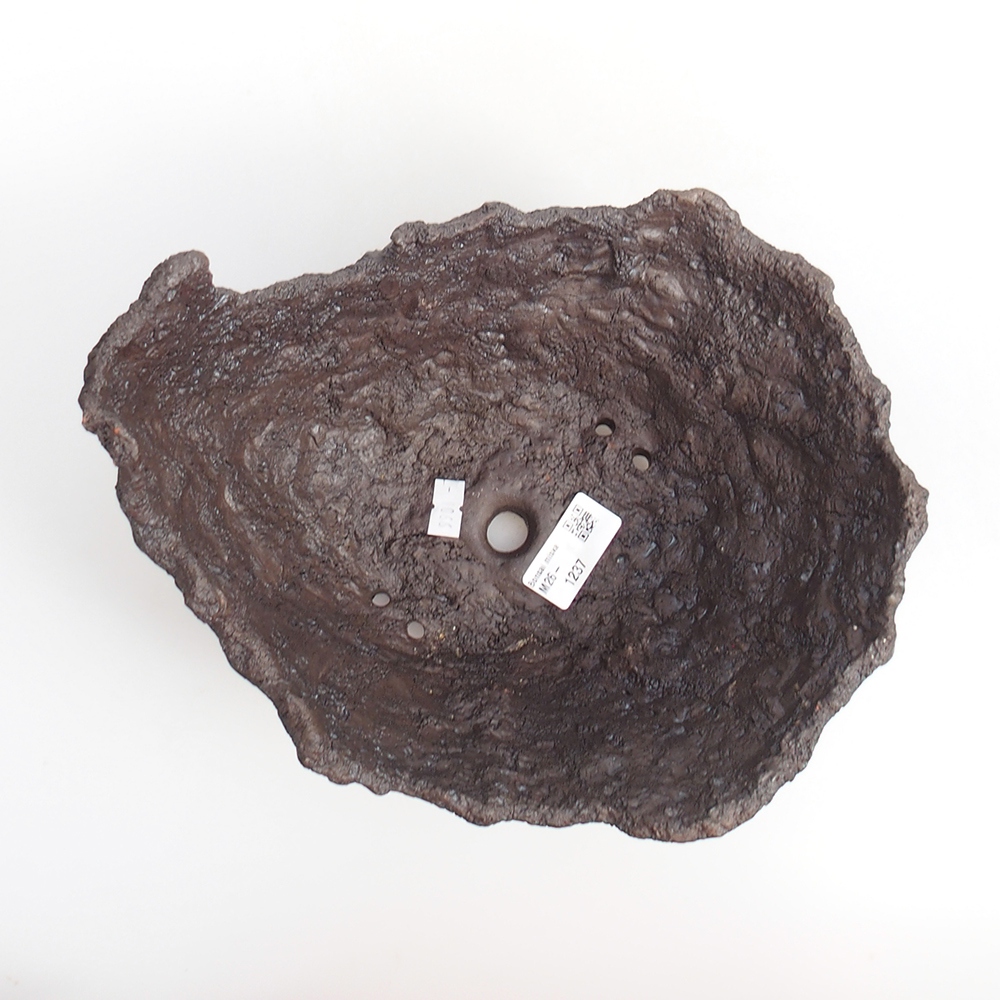 Kerámia kagyló 19 x 15 x 14 cm , barna színű