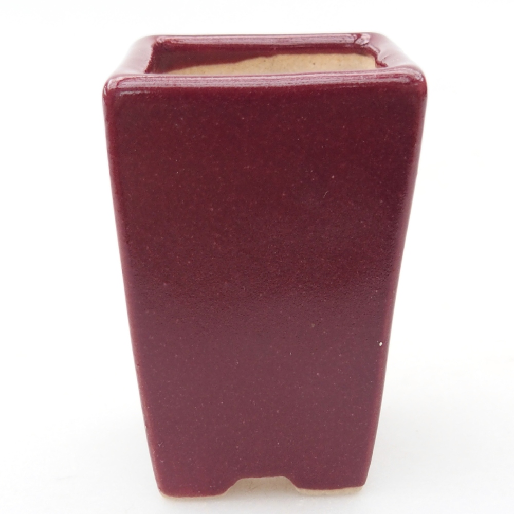 Mini bonsai tál 3,5 x 3,5 x 5 cm, bordó színben