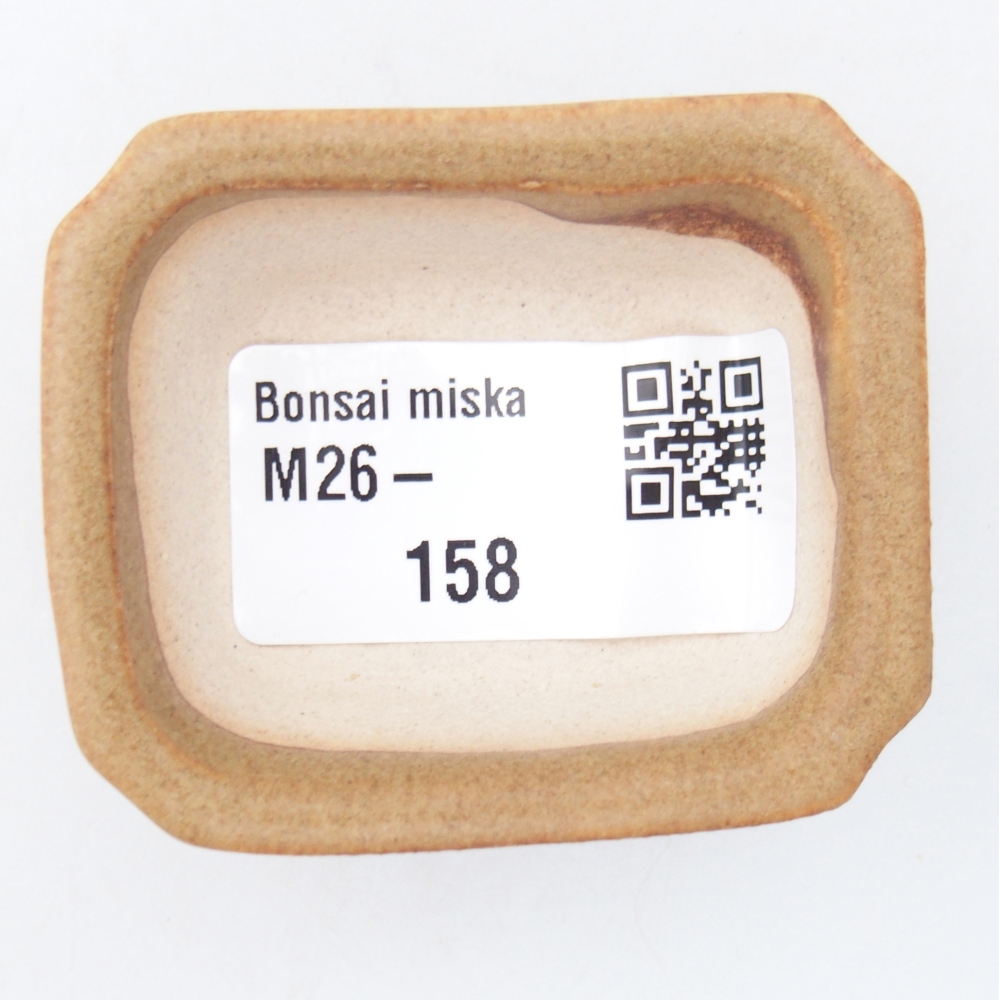 Mini bonsai tál 5,5 x 4,5 x 2 cm, barna