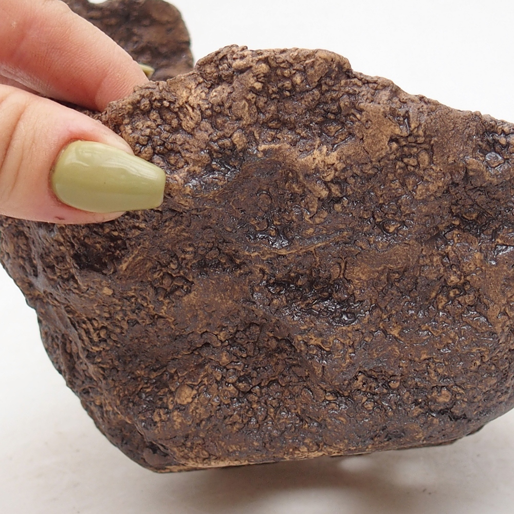 Kerámia kagyló 14 x 14 x 13 cm , színe barna