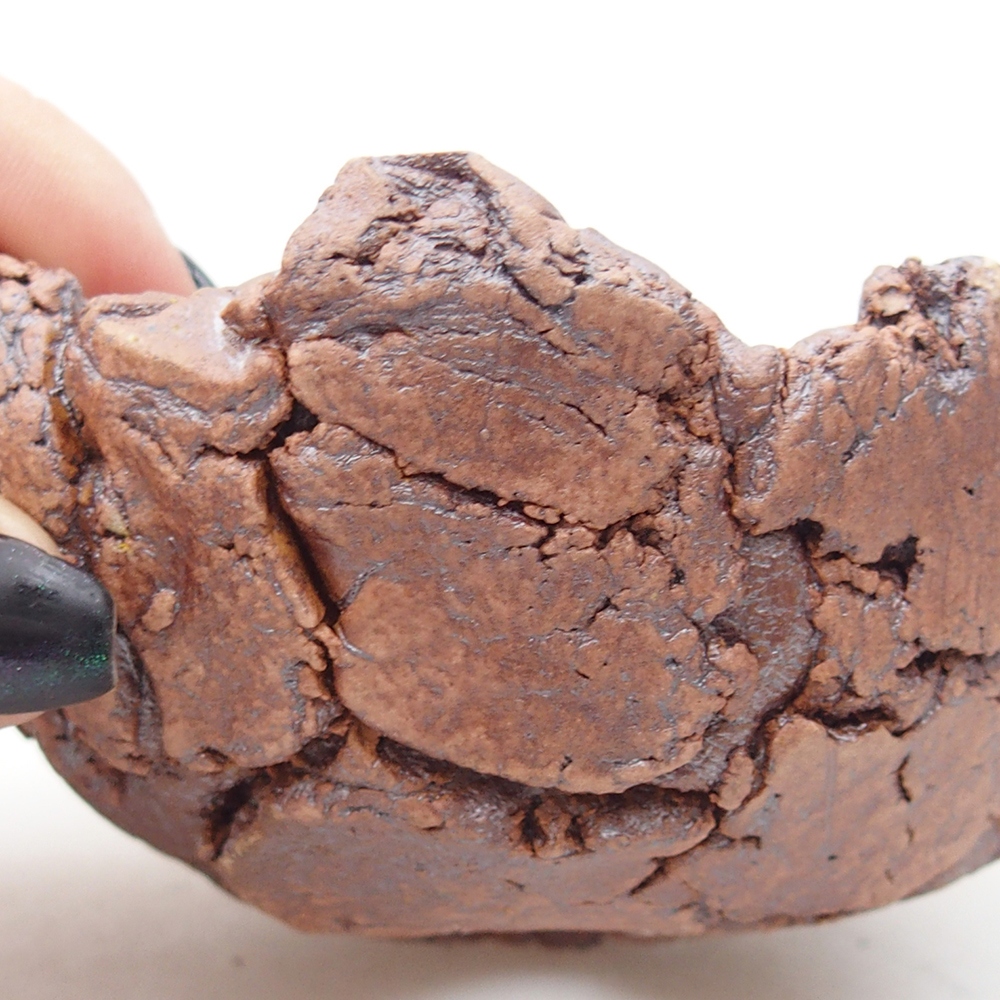 Kerámia kagyló 9 x 9 x 5,5 cm , színe barna