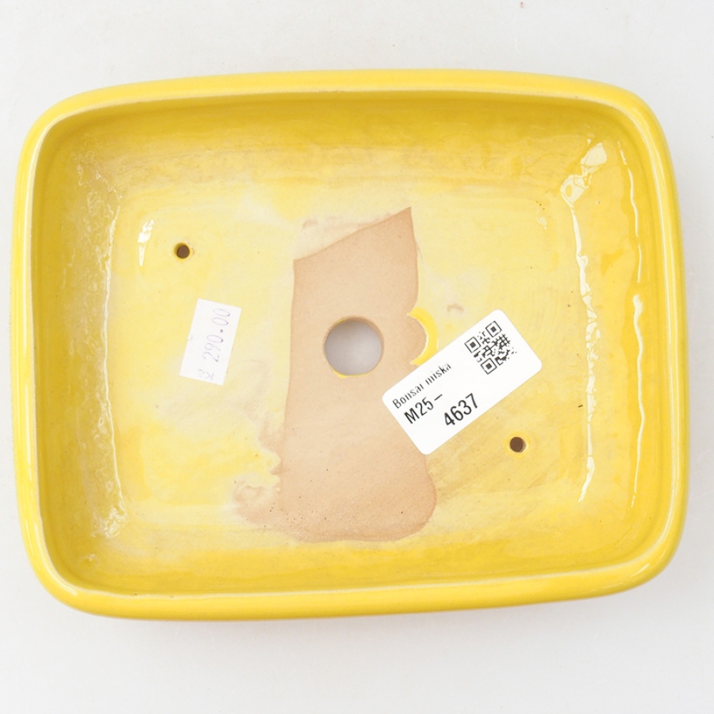kerámia bonsai tál 17 x 13,5 x 3,5 cm, sárga