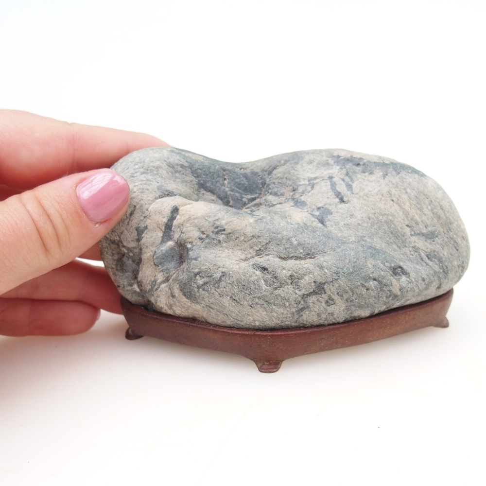 Suiseki - Kő DAI-val (fa alapon)