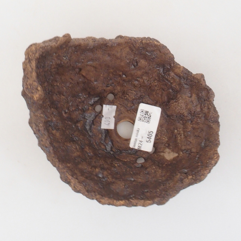 Kerámia kagyló 13,5 x 12 x 13,5 cm , színe barna