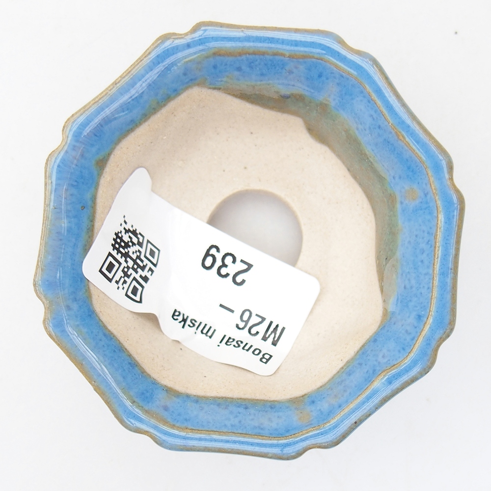 Mini bonsai tál 6 x 6 x 2,5 cm, kék színben