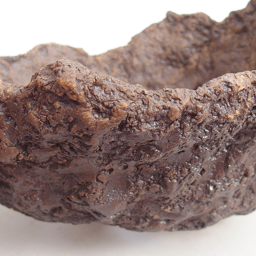 Kerámia kagyló 19 x 15 x 14 cm , barna színű