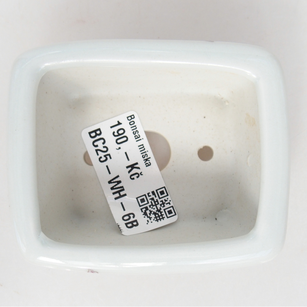 Mini bonsai tál 8 x 6,5 x 3,5 cm, fehér