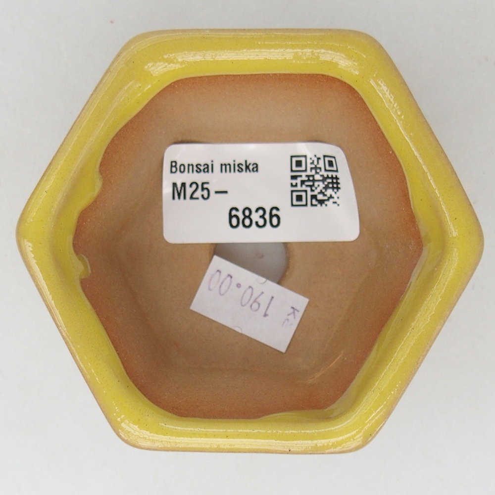 kerámia bonsai tál 7,5 x 7 x 4 cm, sárga