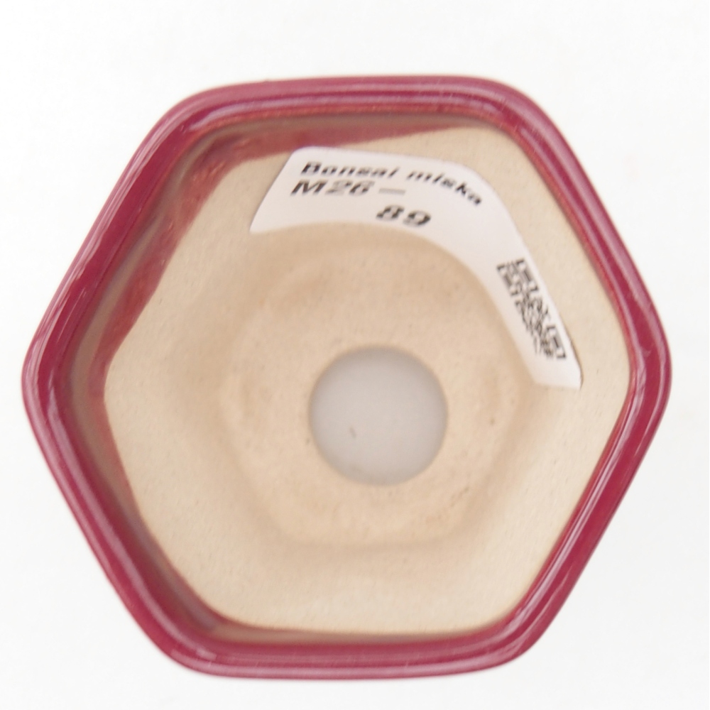 Mini bonsai tál 5,5 x 5 x 5 cm, bordó színben