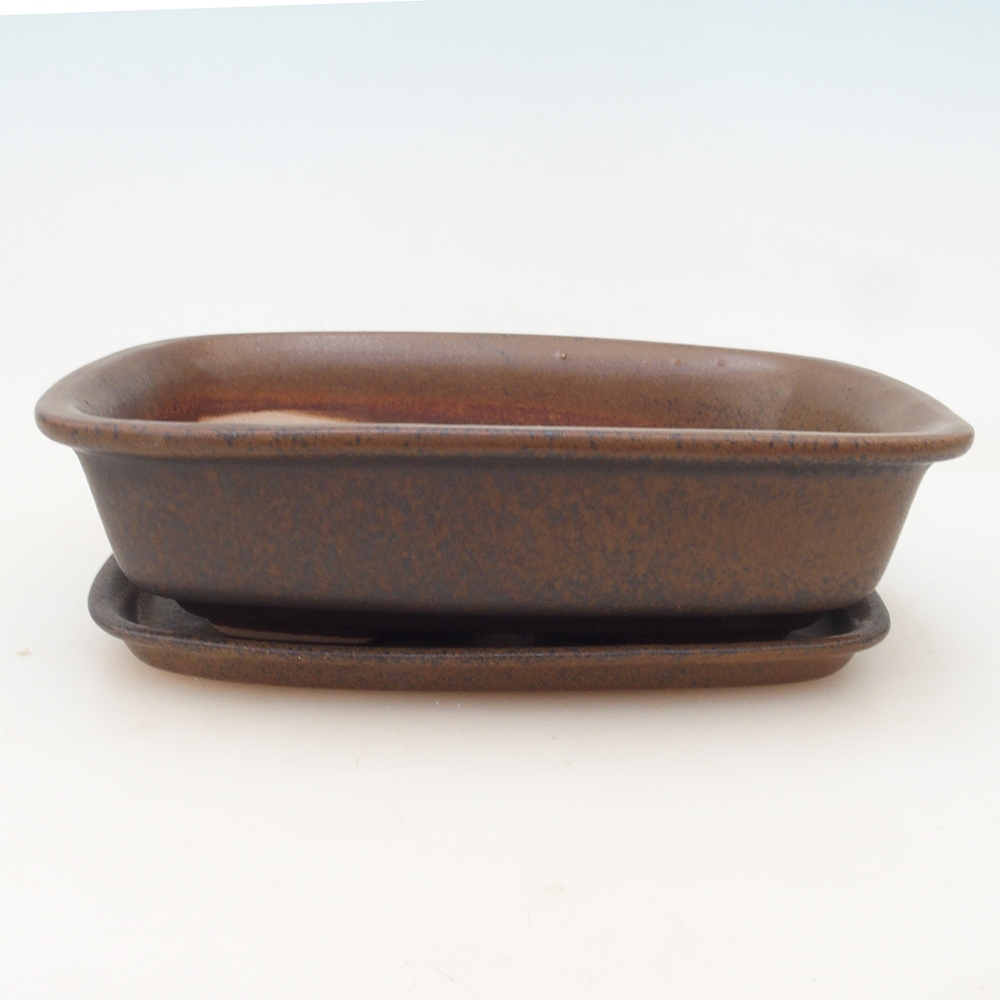 Bonsai tál + csészealj H02 - barna