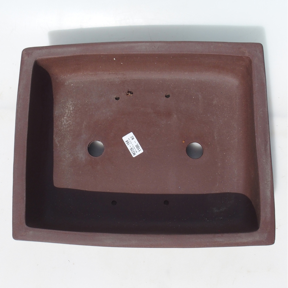 Bonsai tál 40 x 32,5 x 10,5 cm nyírfa barna