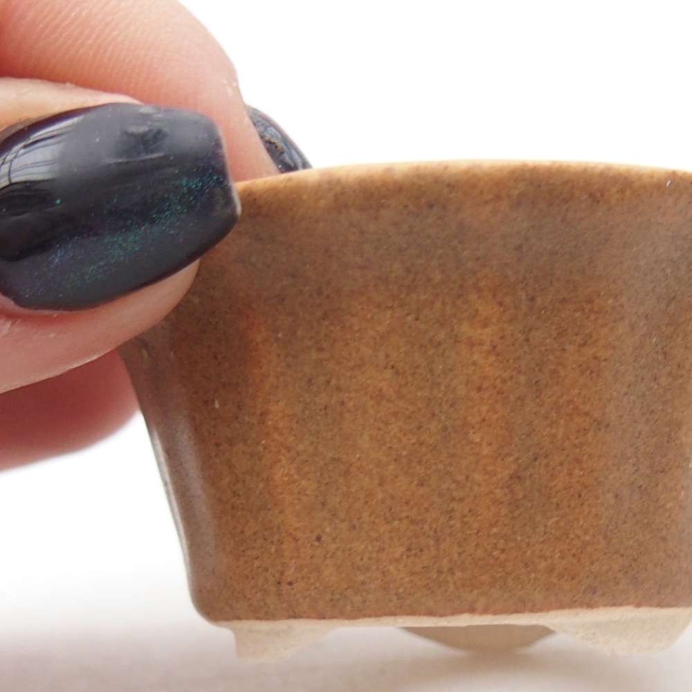 Mini bonsai tál 5,5 x 5,5 x 3 cm, barna