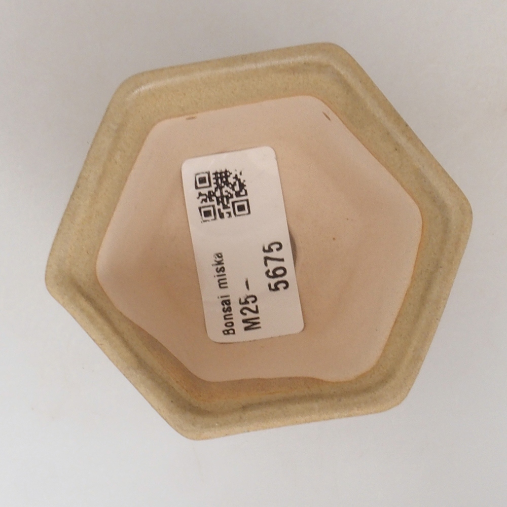 Mini bonsai tál 7 x 7 x 5 cm, barna