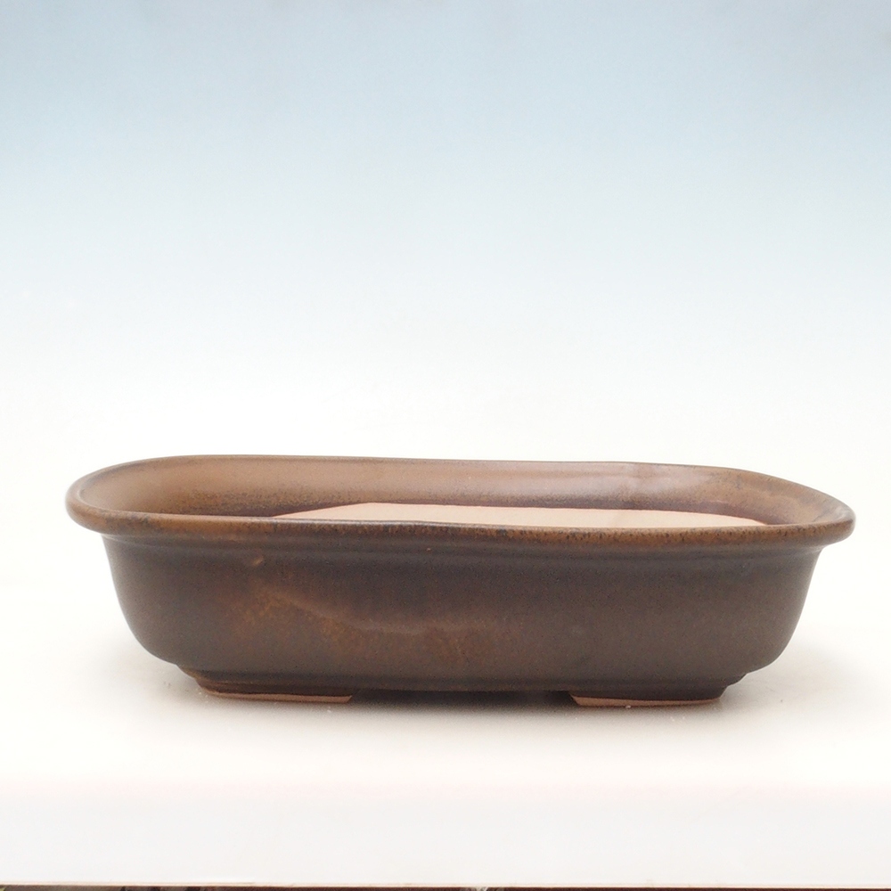 Bonsai tál + csészealj H10 - 37 x 28 x 9 cm - barna