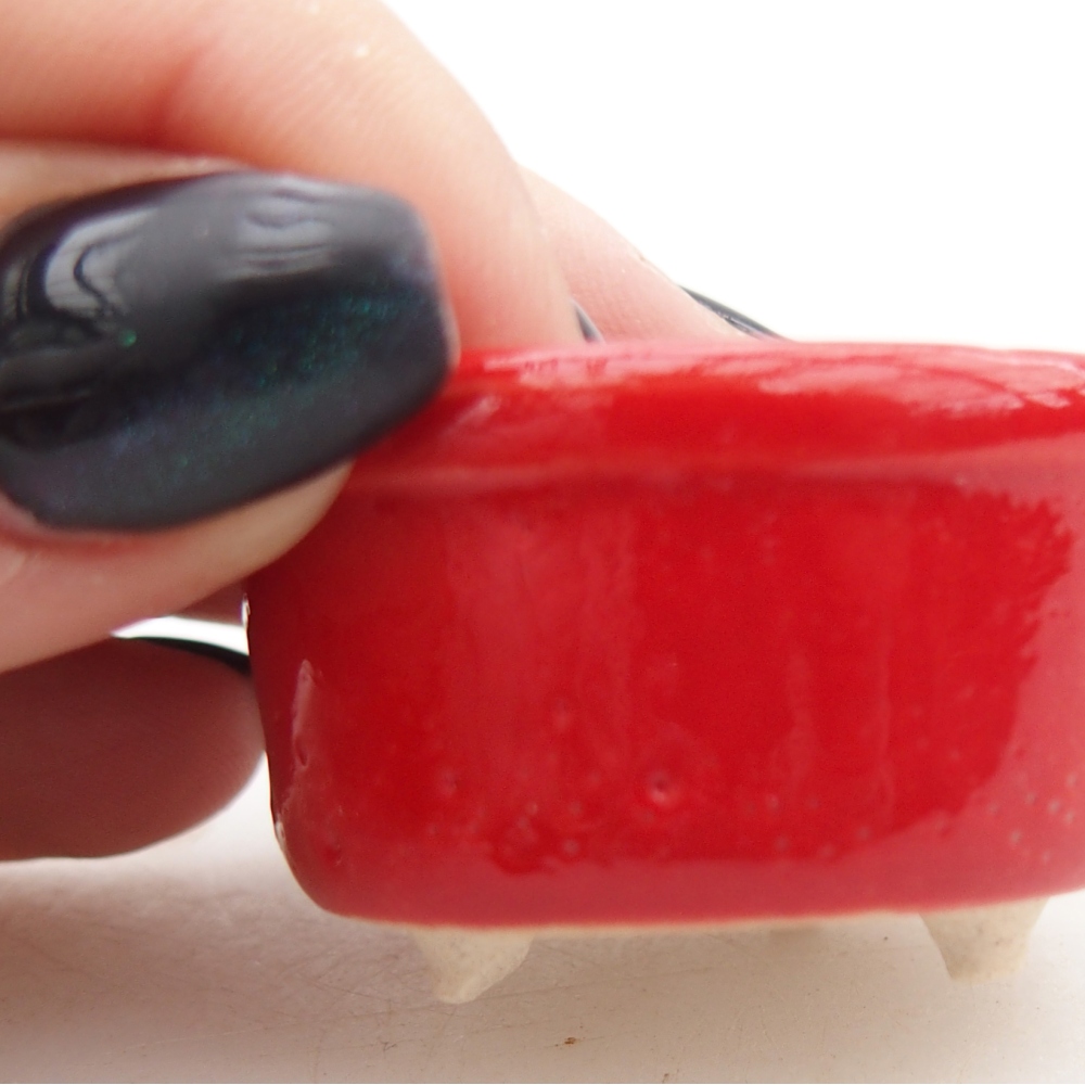 Mini bonsai tál 4 x 4 x 2,5 cm, piros színben